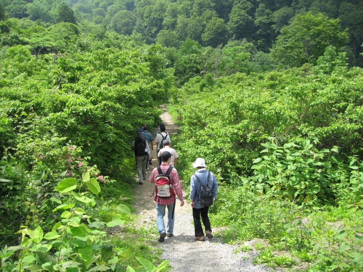 Hotel Sunny Valley Otari Zewnętrze zdjęcie